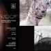 HOOF di Maria Shutova alla 6499 Art Gallery