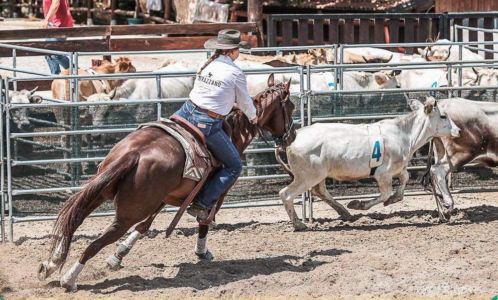 Ranch sorting Ranch sorting
