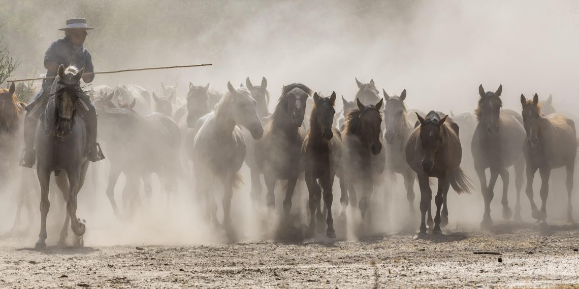 Spagna, Parco Nazionale di Doñana: la casa del cavallo Marismeño