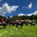 Società Cacce a Cavallo del Monferrato: 25 anni al galoppo