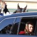 I cavalli dei Corazzieri scortano Leone XIV al Quirinale
