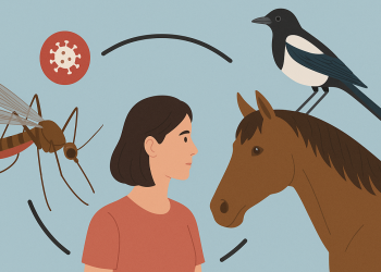 West Nile Virus, l’algoritmo italiano che anticipa i focolai
