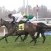 Week-end di galoppo all’Ippodromo Snai San Siro