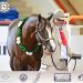 2025 Apha/Wcha Halter Million: i Paint parlano anche italiano