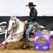 A Cremona la NBHA Grandchampionship 2025: Barrel e Pole i protagonisti