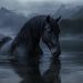 Là dove l’acqua ha la forma di un cavallo