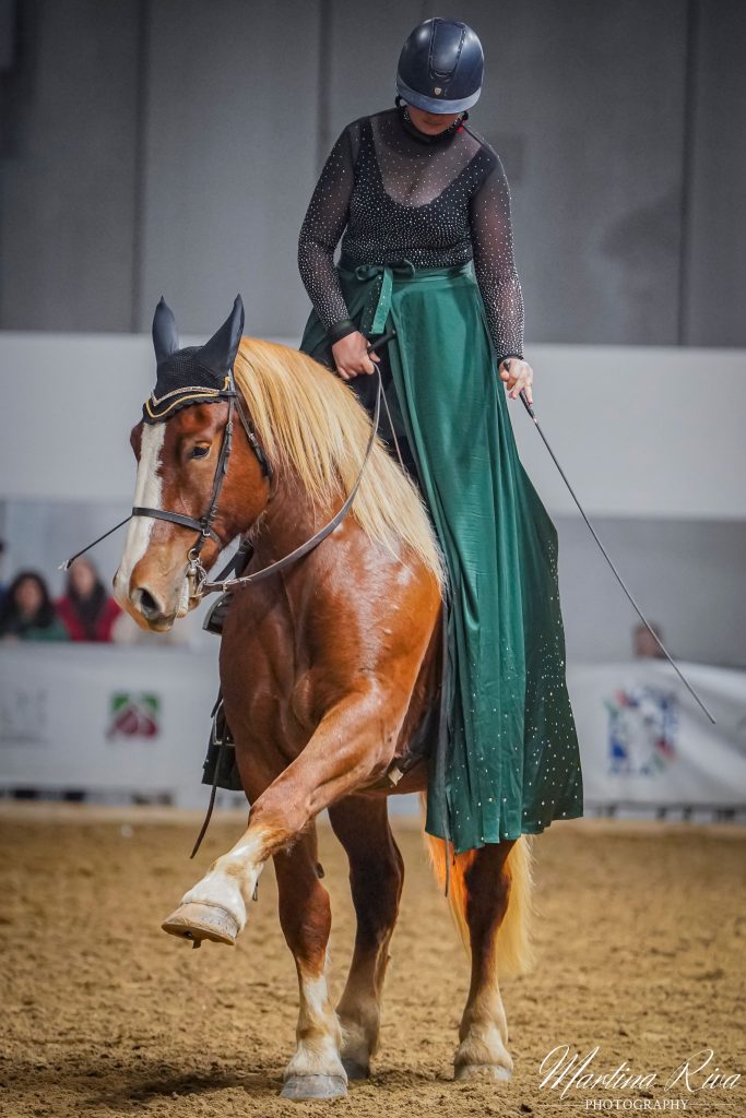 08112025-_DSC8226 08112025 DSC8226 683x1024