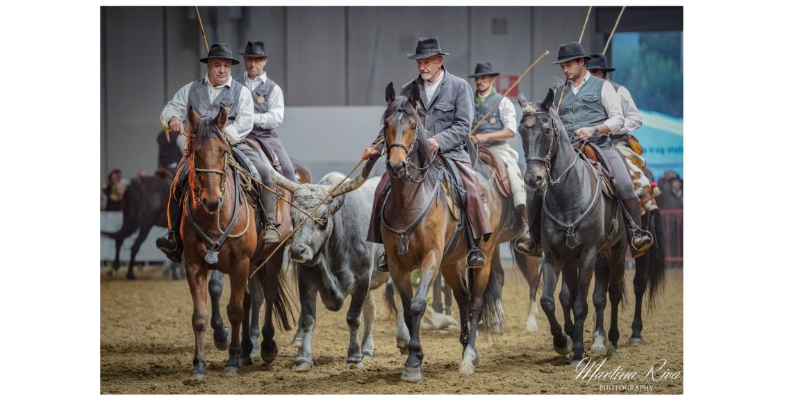Carosello delle razze Italiane: Italialleva vince a Fieracavalli 2025