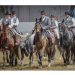 Carosello delle razze Italiane: Italialleva vince a Fieracavalli 2025