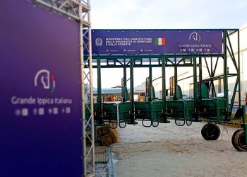 Verona, 127° Fieracavalli alle gabbie di partenza