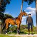 Stefano Ricci debutta a Fieracavalli