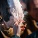 Il cavallo, la crescita, l’inclusione