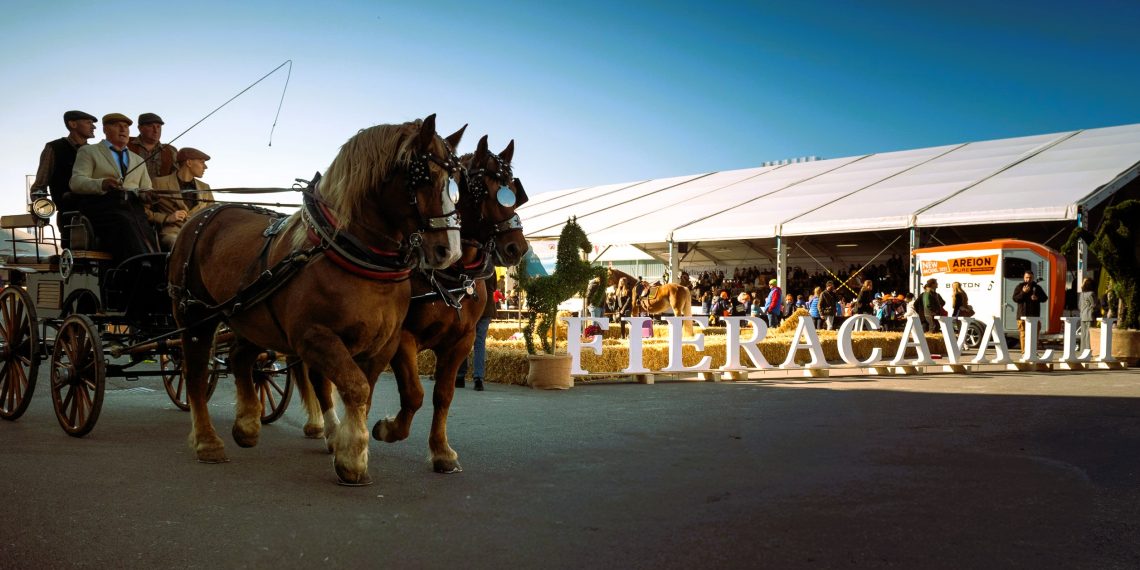 127° Fieracavalli Verona, il giovedì: piccoli tesori nascosti