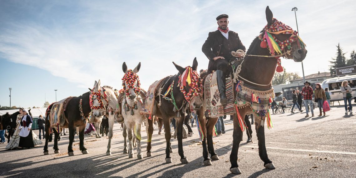 A Fieracavalli Verona sfila la Sicilia
