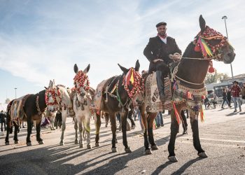 A Fieracavalli Verona sfila la Sicilia