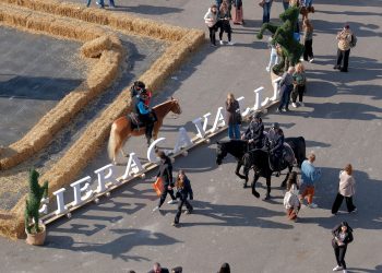 Fieracavalli 2025 record, oltre 140mila visitatori