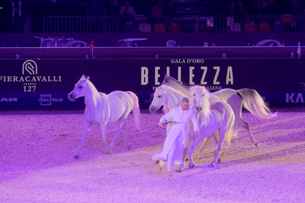 Fieracavalli2025_Veronafiere_EnneviFoto_8010 Fieracavalli2025 Veronafiere EnneviFoto 8010 1024x683