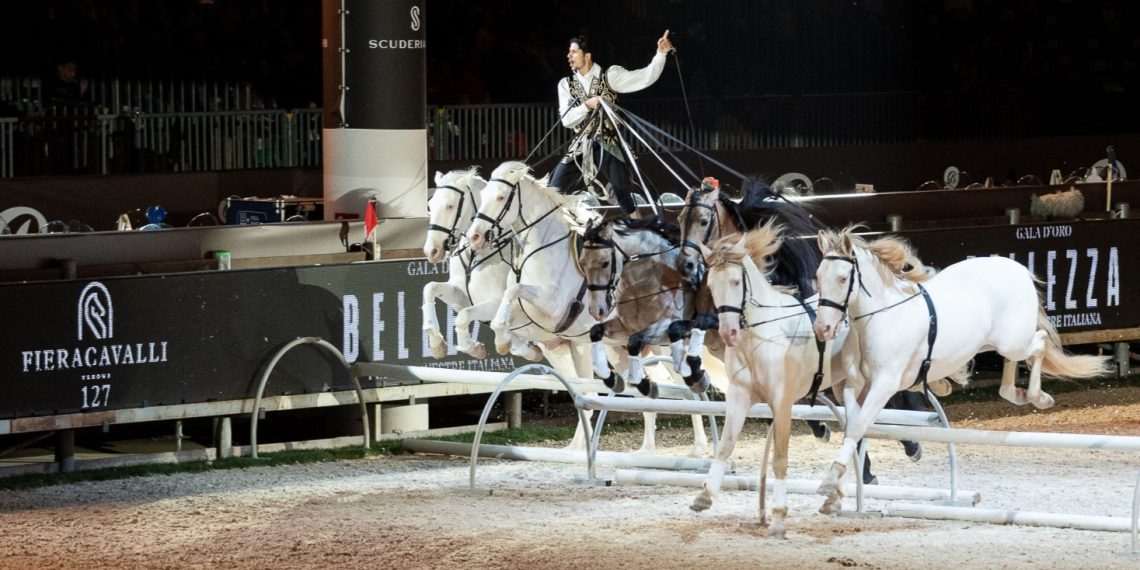 Diego Giona incanta il Gala d’Oro: la magia della posta ungherese