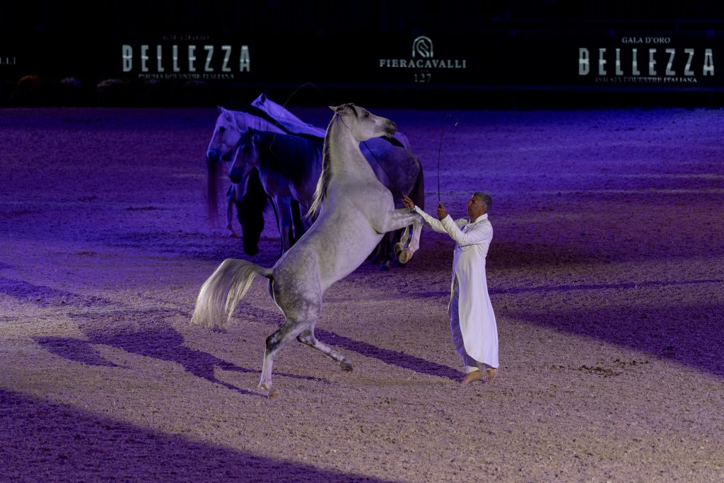 Fieracavalli_2025_Veronafiere_EnneviFoto_05900 Fieracavalli 2025 Veronafiere EnneviFoto 05900 1024x683