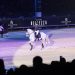 Un’idea – semplice – di Dressage…ma bisognava averla!