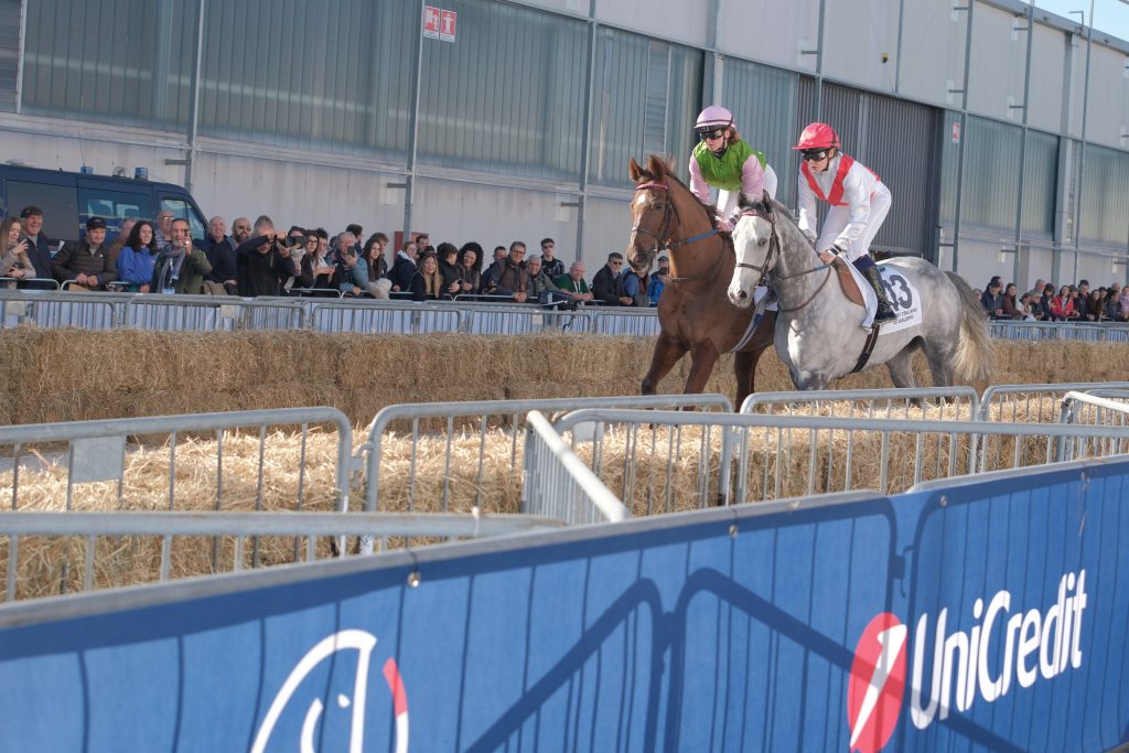Fieracavalli_2025_Veronafiere_EnneviFoto_X096 Fieracavalli 2025 Veronafiere EnneviFoto X096 1024x683