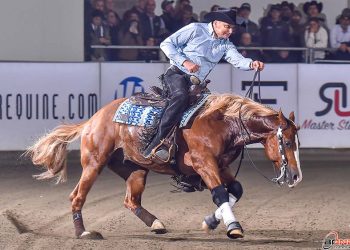 All Futurities Cremona: promesse mantenute