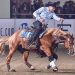 All Futurities Cremona: promesse mantenute