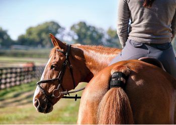 Garmin presenta Blaze a Fieracavalli