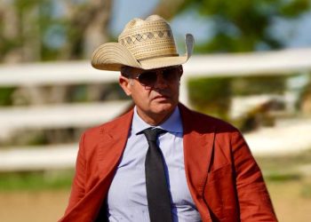 Pavoni e il parareining: l’equilibrio tra agonismo e iclusività