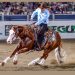 Il Reining: fluidità, finezza e attitudine