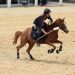 Trofeo Sperimentale Mounted Games 2025