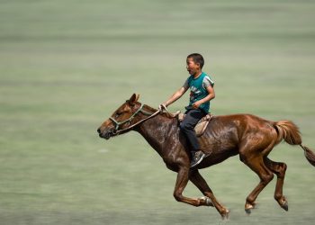 Ride to Survive