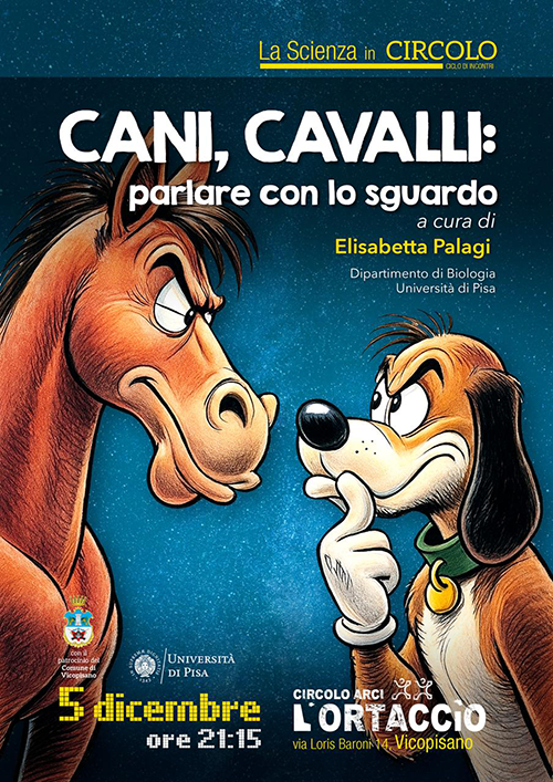 canicavalli canicavalli