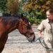 Tecnico veterinario equino: un webinar per capire