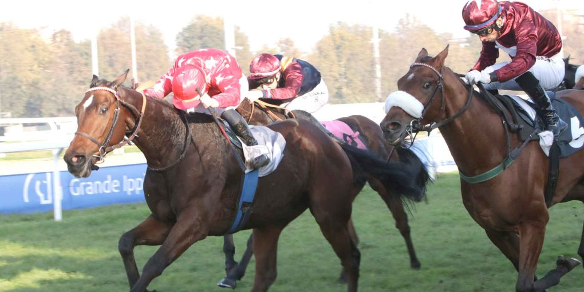 La domenica di San Siro fra cultura e grandi corse