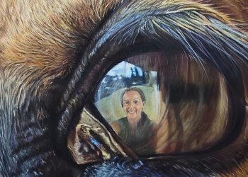 Cani e cavalli: parlare con lo sguardo, un incontro a Vicopisano