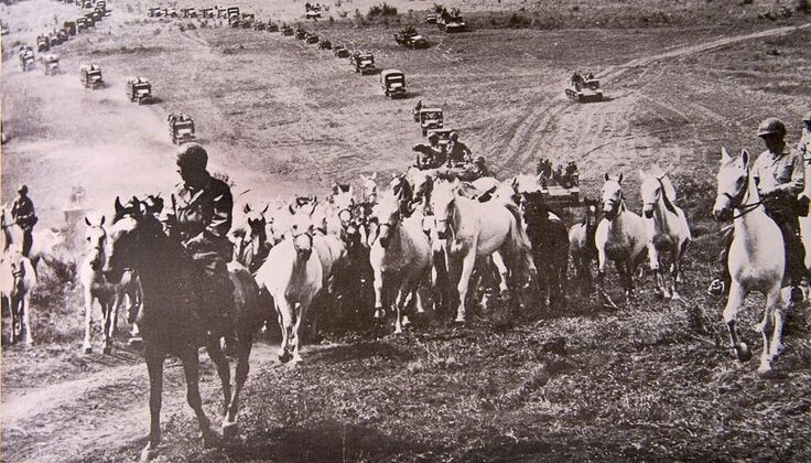 Operation Cowboy: la fuga dei Lipizzani