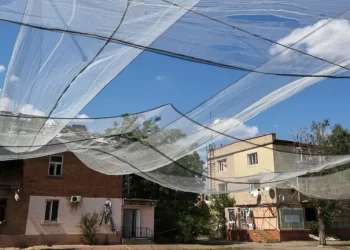 Le reti in crine di cavallo dei pescatori bretoni proteggono il fronte ucraino dai droni