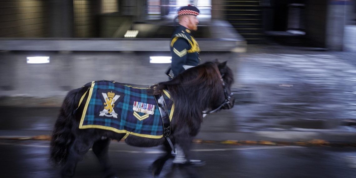 Il tempo passa ma…il Caporale Cruachan IV resta!