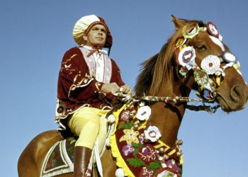 100 anni di Franco Pinna, che ha ritratto la Sardegna – e anche i suoi cavalli