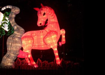 Anno del Cavallo: storia e simboli dall’antica Cina