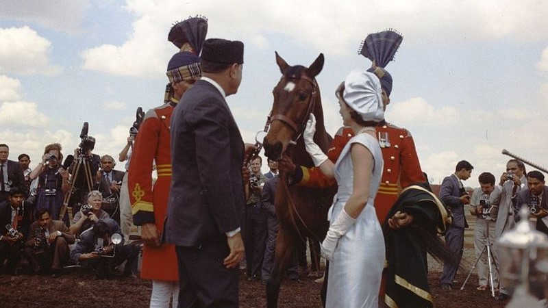 A proposito di regali: Sardar, il dono che Jacqueline Kennedy amò di più