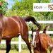 EquiPER: un impegno collettivo