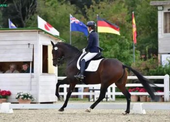 Valentina Truppa ci introduce al dressage