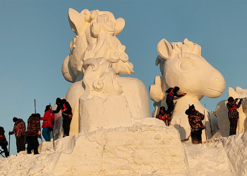 Harbin e i suoi cavalli a sangue… freddo
