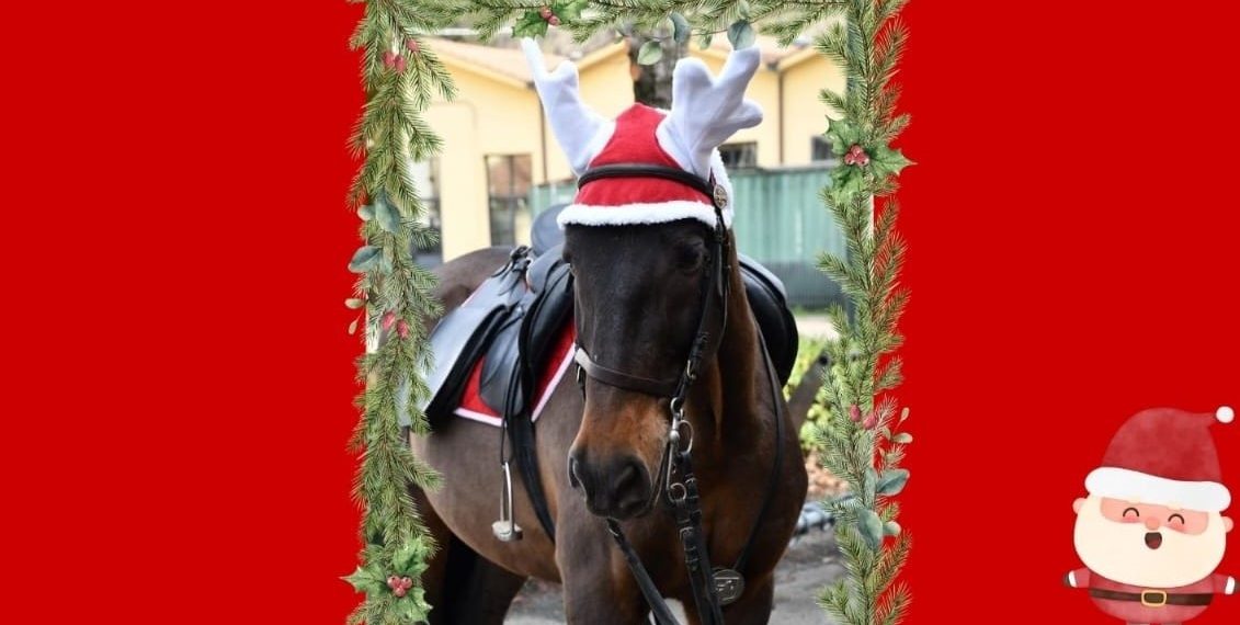 A Firenze Babbo Natale arriva…nella scuderia della Polizia Municipale!