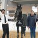 70°Mercato Concorso di Martina Franca: tutti i campioni del Centenario