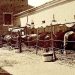 La Sicilia a cavallo: storia, istituzioni e memoria