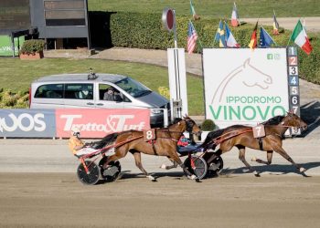 Domenica il grande trotto va in scena a Vinovo