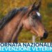 Una giornata anche per la prevenzione